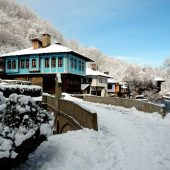 Etiam commodo convallis